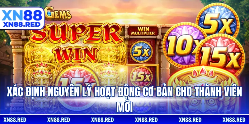 Xác định nguyên lý hoạt động cơ bản cho thành viên mới